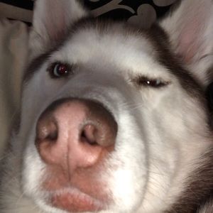 Meet your Posher, Paityn